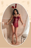 Santa’s Secret Velvet Ensemble Lingerie